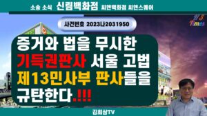항소심 판결문 분석