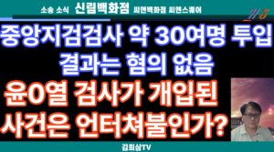 중앙지검검사